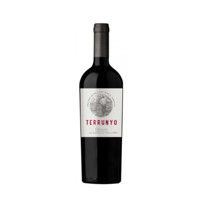 VINHO TERRUNYO CARMÉNÈRE TINTO 750ML